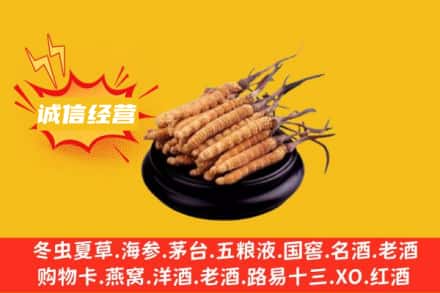 阜阳市颍州回收冬虫夏草